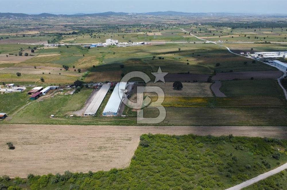 BİGA GÖKTEPE KÖYÜNDE SATILIK ÇİFTLİK AÇIKLAMAYI OKUYUNUZ