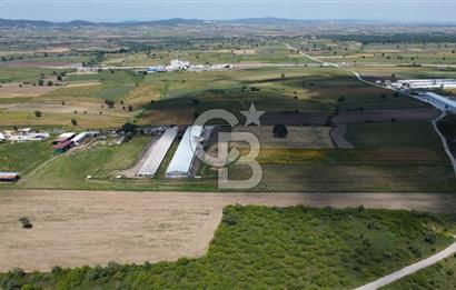BİGA GÖKTEPE KÖYÜNDE SATILIK ÇİFTLİK AÇIKLAMAYI OKUYUNUZ