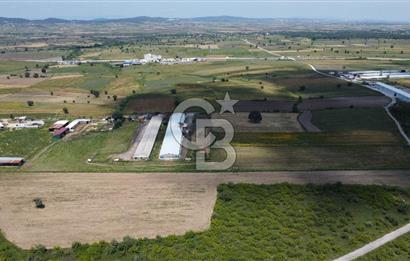 BİGA GÖKTEPE KÖYÜNDE SATILIK ÇİFTLİK AÇIKLAMAYI OKUYUNUZ