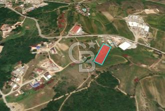 GEBZE PELİTLİ T3 TİCARİ İMARLI YATIRIMLIK HİSSE - 1 - 360312