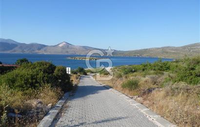 ÇEŞME ILDIRDA DENİZE YÜRÜME MESAFESİNDE MÜSTAKİL YAZLIK