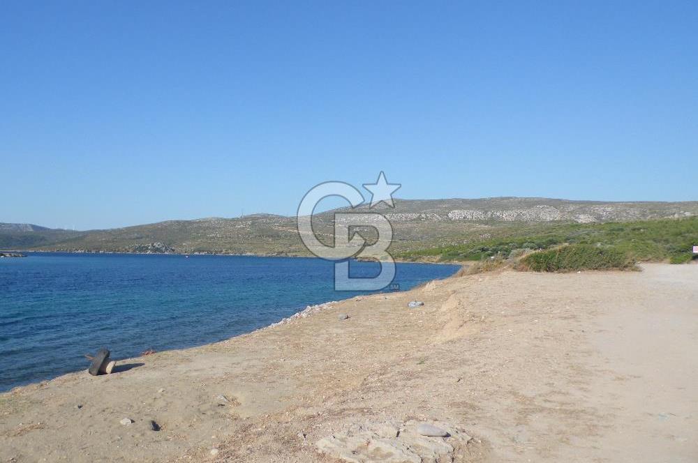 ÇEŞME ILDIRDA DENİZE YÜRÜME MESAFESİNDE MÜSTAKİL YAZLIK
