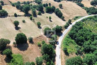 BİGA İLYASALAN KÖYÜ ASFALT KENARI 1200 M2 TARLA - 1 - 360350