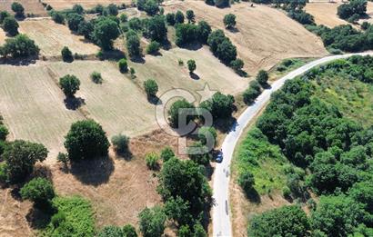 BİGA İLYASALAN KÖYÜ ASFALT KENARI 1200 M2 TARLA