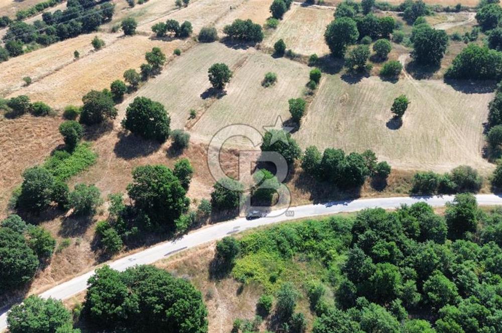 BİGA İLYASALAN KÖYÜ ASFALT KENARI 1200 M2 TARLA