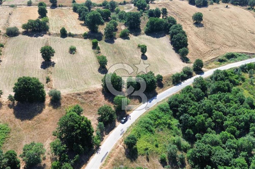 BİGA İLYASALAN KÖYÜ ASFALT KENARI 1200 M2 TARLA