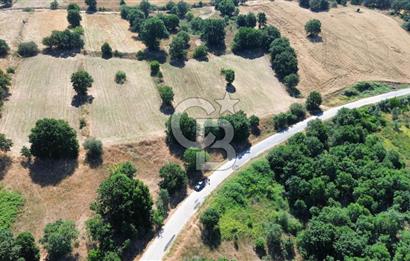 BİGA İLYASALAN KÖYÜ ASFALT KENARI 1200 M2 TARLA