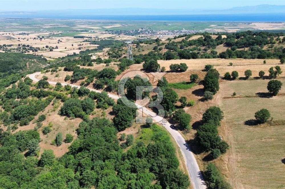 BİGA İLYASALAN KÖYÜ ASFALT KENARI 1200 M2 TARLA
