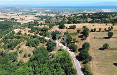 BİGA İLYASALAN KÖYÜ ASFALT KENARI 1200 M2 TARLA