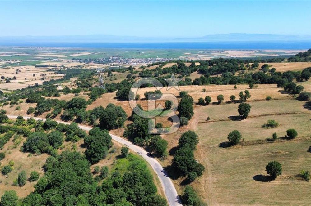 BİGA İLYASALAN KÖYÜ ASFALT KENARI 1200 M2 TARLA