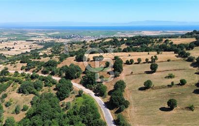 BİGA İLYASALAN KÖYÜ ASFALT KENARI 1200 M2 TARLA