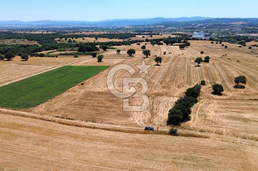 BİGA DOĞANCI KÖYÜNDE MÜKEMMEL ARAZİ
