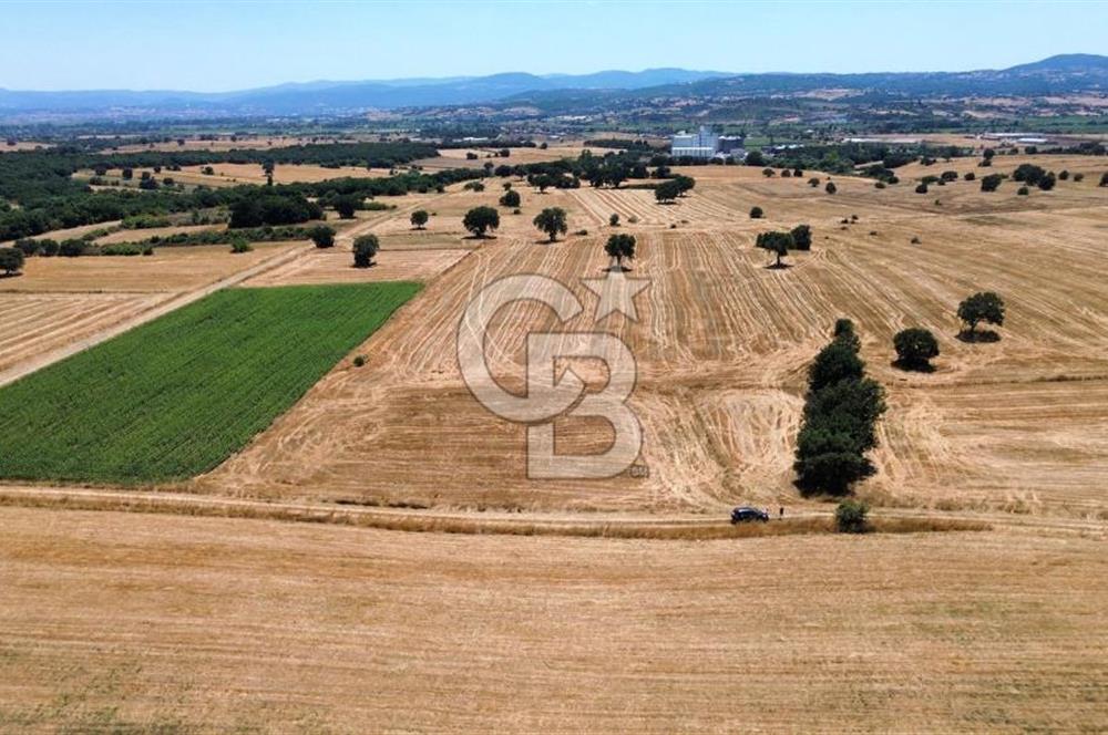 BİGA DOĞANCI KÖYÜNDE MÜKEMMEL ARAZİ