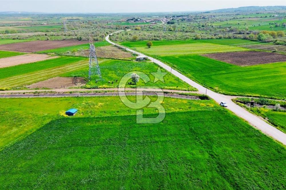 BİGA KARACAALİ KÖYÜNDE 1200 M2 MÜKEMMEL ARAZİ