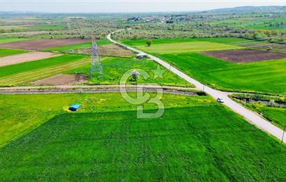 BİGA KARACAALİ KÖYÜNDE 1200 M2 MÜKEMMEL ARAZİ