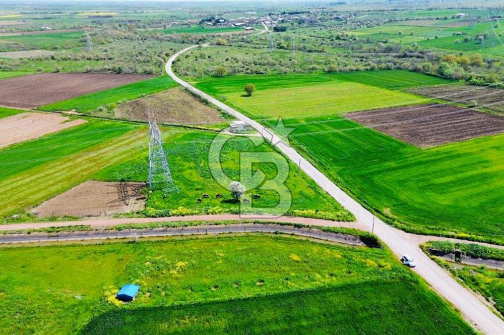 BİGA KARACAALİ KÖYÜNDE 1200 M2 MÜKEMMEL ARAZİ