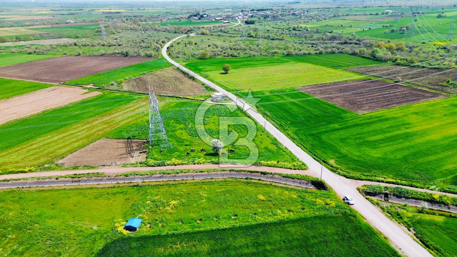 BİGA KARACAALİ KÖYÜNDE 1200 M2 MÜKEMMEL ARAZİ