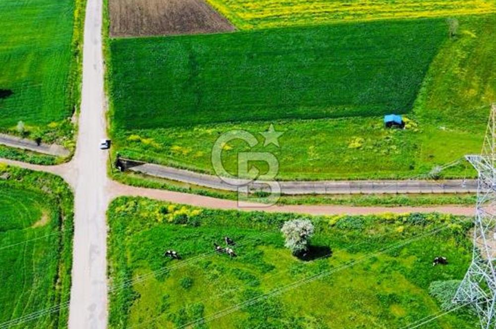 BİGA KARACAALİ KÖYÜNDE 1200 M2 MÜKEMMEL ARAZİ