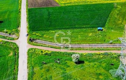 BİGA KARACAALİ KÖYÜNDE 1200 M2 MÜKEMMEL ARAZİ