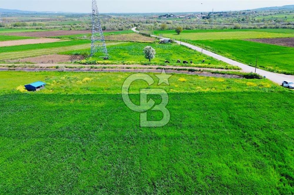 BİGA KARACAALİ KÖYÜNDE 1200 M2 MÜKEMMEL ARAZİ
