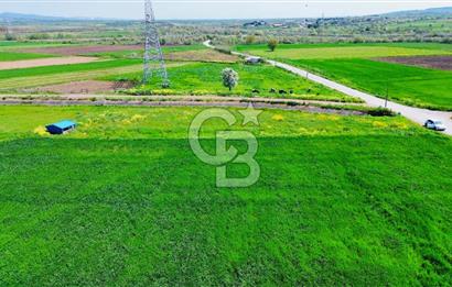 BİGA KARACAALİ KÖYÜNDE 1200 M2 MÜKEMMEL ARAZİ