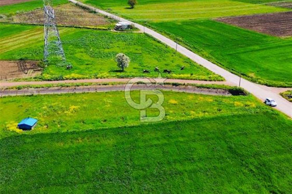 BİGA KARACAALİ KÖYÜNDE 1200 M2 MÜKEMMEL ARAZİ