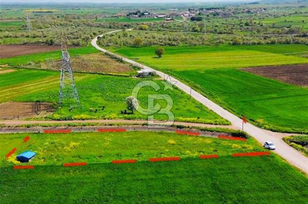 BİGA KARACAALİ KÖYÜNDE 1200 M2 MÜKEMMEL ARAZİ