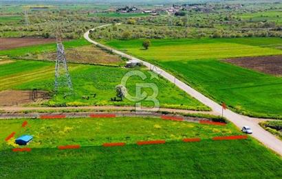 BİGA KARACAALİ KÖYÜNDE 1200 M2 MÜKEMMEL ARAZİ