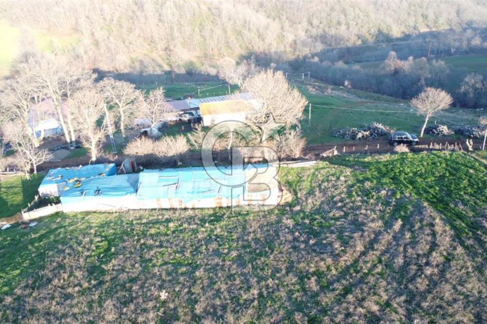 BİGA ELMALI KÖYÜNDE 8400 m2 KONUT İMARLI ARSA
