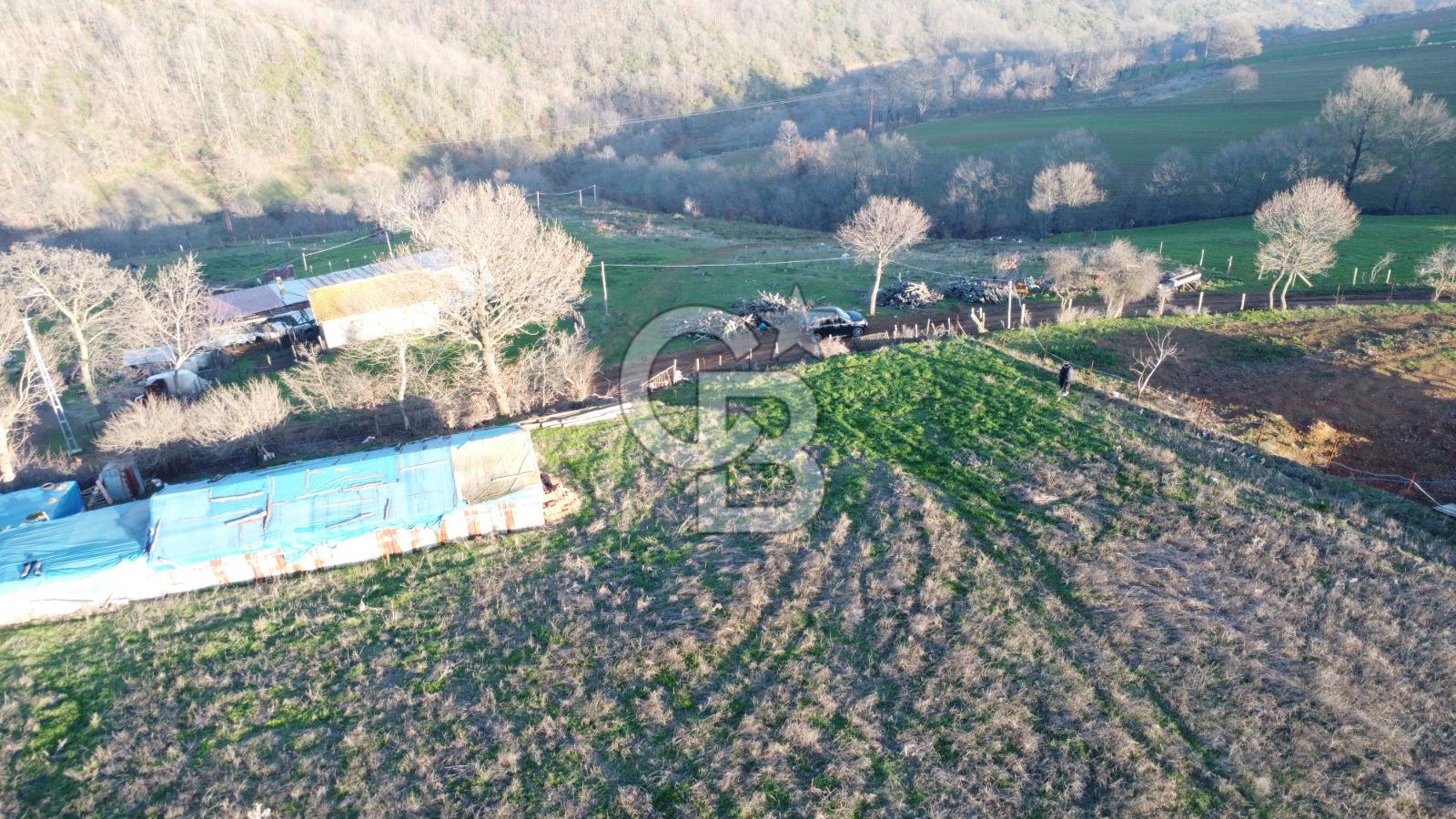 BİGA ELMALI KÖYÜNDE 8400 m2 KONUT İMARLI ARSA