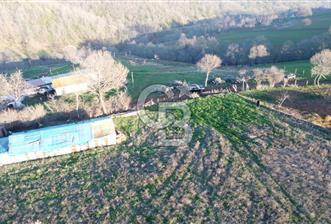 BİGA ELMALI KÖYÜNDE 8400 m2 KONUT İMARLI ARSA - 1 - 360354