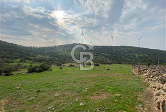 İzmir Bergama Koyuneli Kaçırılmayacak 100 m² Satılık Tarla - 2 - 360370