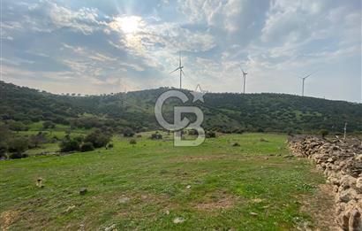 İzmir Bergama Koyuneli Kaçırılmayacak 100 m² Satılık Tarla