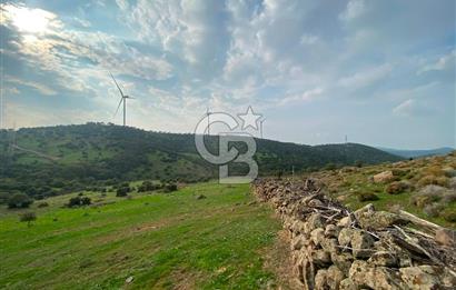 İzmir Bergama Koyuneli Kaçırılmayacak 100 m² Satılık Tarla