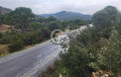 İzmir Bergama Merkeze Yakın 19 Dönüm Bedava Satılık Tarla