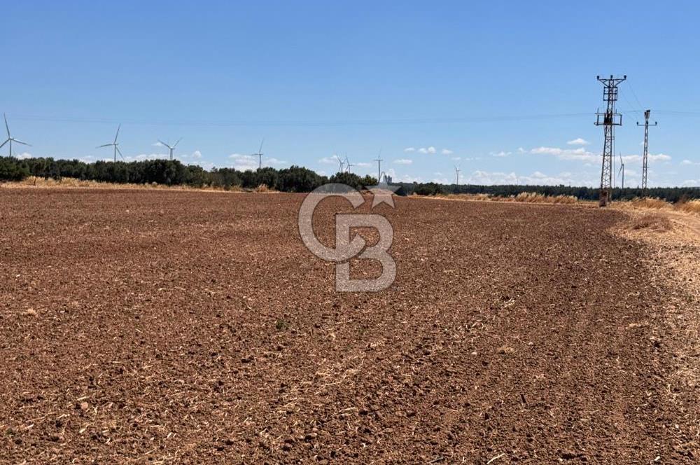 EZİNE KUMBURUN'DA SATILIK 12659 m² BİRİNCİ SINIF TARIM ARAZİSİ