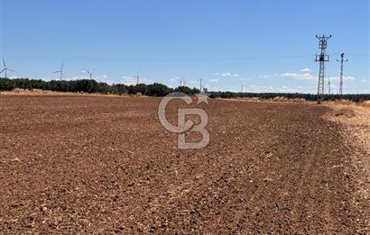 EZİNE KUMBURUN'DA SATILIK 11951 m² BİRİNCİ SINIF TARIM ARAZİSİ