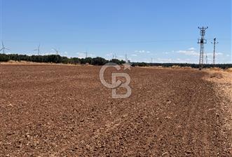 EZİNE KUMBURUN'DA SATILIK 11951 m² BİRİNCİ SINIF TARIM ARAZİSİ - 3 - 360320