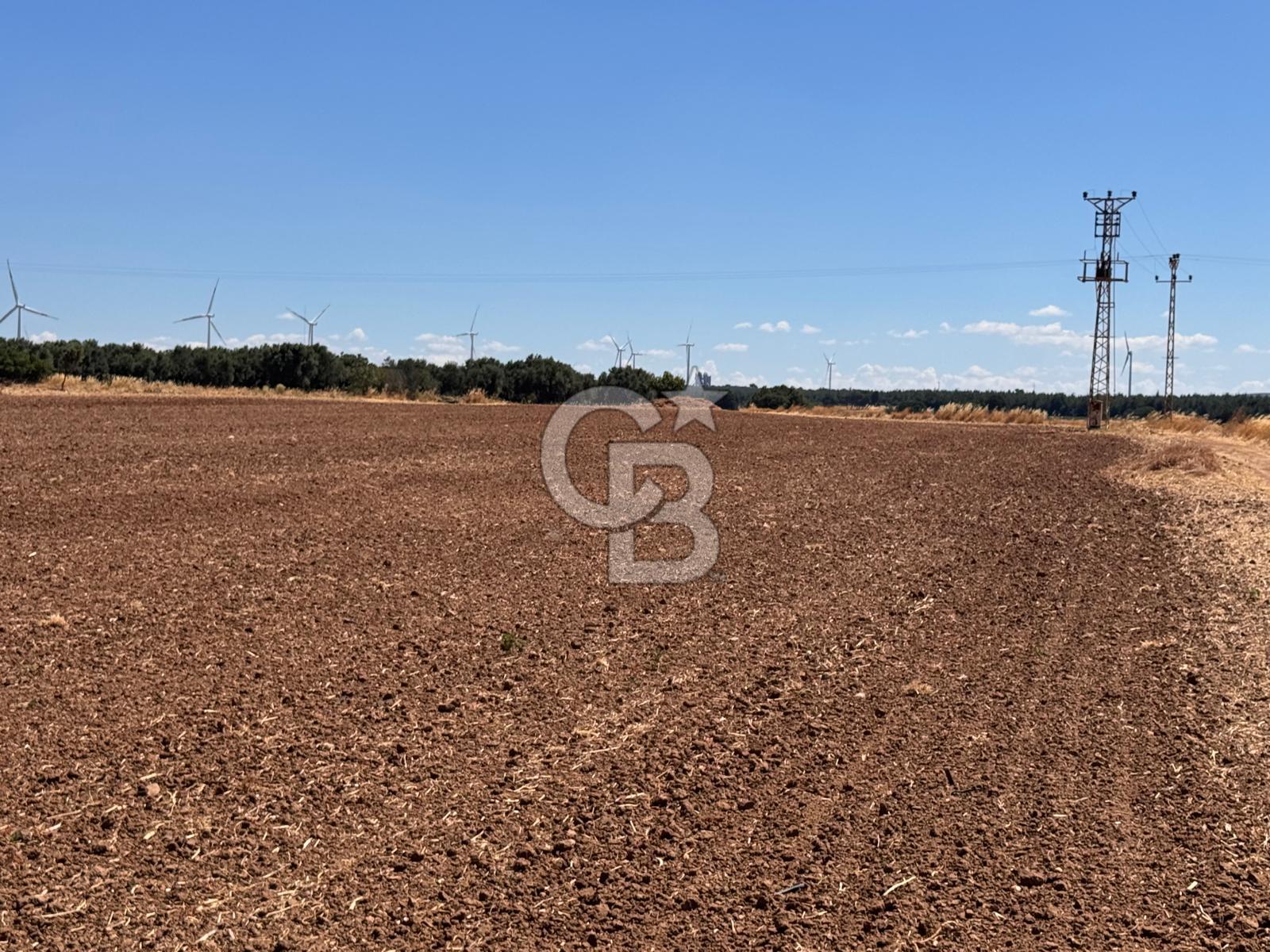 EZİNE KUMBURUN'DA SATILIK 12659 m² BİRİNCİ SINIF TARIM ARAZİSİ
