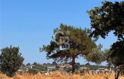 EZİNE KUMBURUN'DA SATILIK 7219 m² BİRİNCİ SINIF TARIM ARAZİSİ