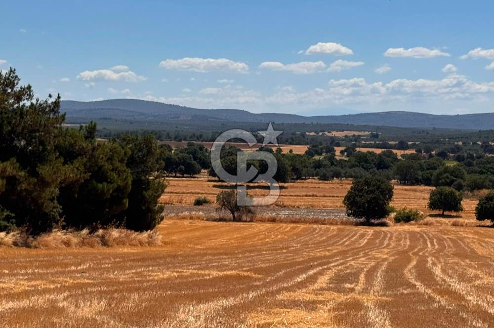 EZİNE KUMBURUN'DA SATILIK 7219 m² BİRİNCİ SINIF TARIM ARAZİSİ