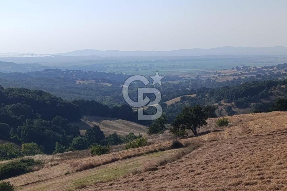BİGA SAZOBA KÖYÜ SATILIK 12 DÖNÜM TARIM ARAZİSİ
