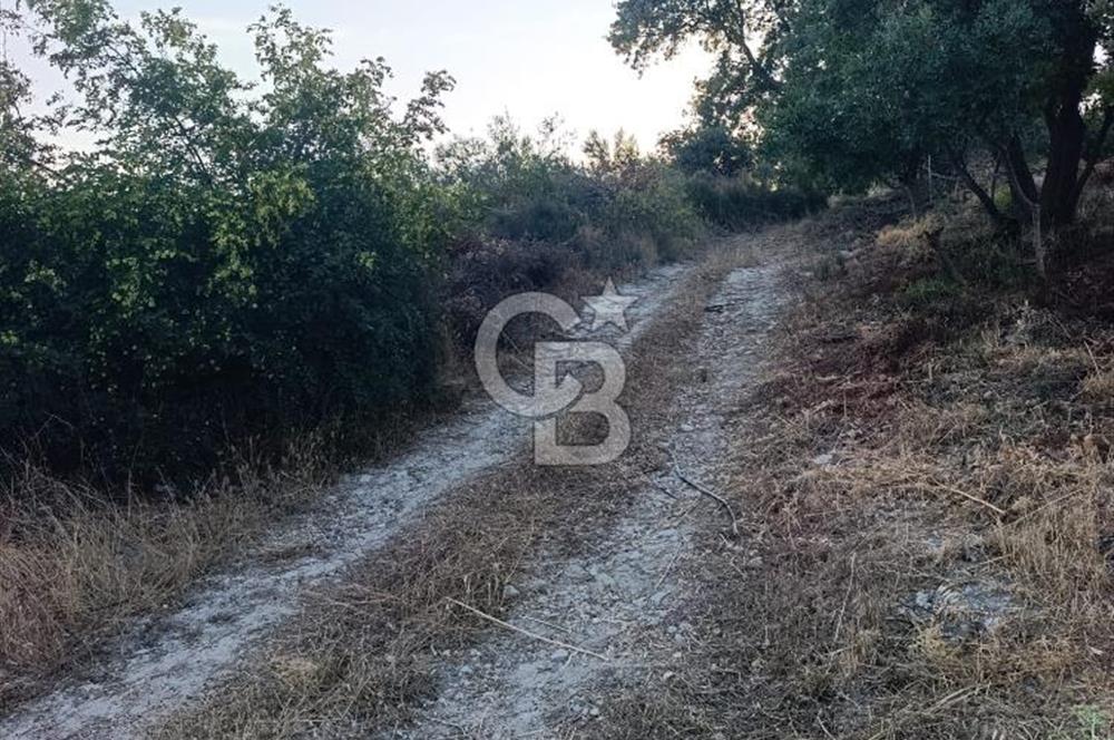 ÇANAKKALE MERKEZ DÜMREK KÖYÜNDE SATILIK ARSA