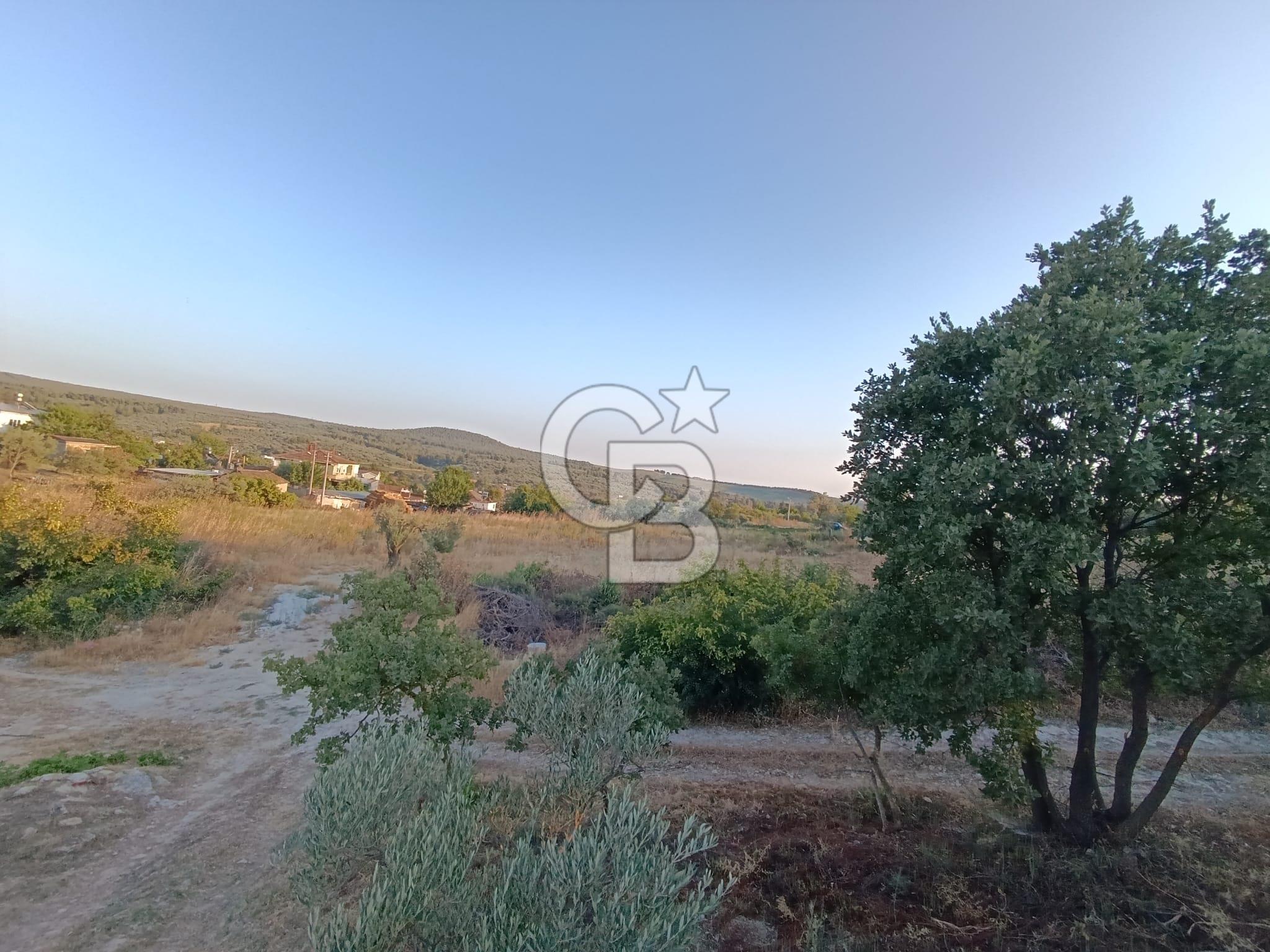 ÇANAKKALE MERKEZ DÜMREK KÖYÜNDE SATILIK ARSA