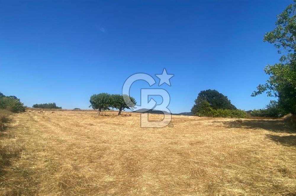 BİGA OVACIK KÖYÜNDE 5370 m2 si İMARLI 12 DÖNÜM AÇIKLAMA OKU