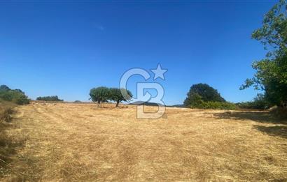 BİGA OVACIK KÖYÜNDE 5370 m2 si İMARLI 12 DÖNÜM AÇIKLAMA OKU