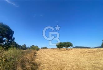 BİGA OVACIK KÖYÜNDE 5370 m2 si İMARLI 12 DÖNÜM AÇIKLAMA OKU - 1 - 360357