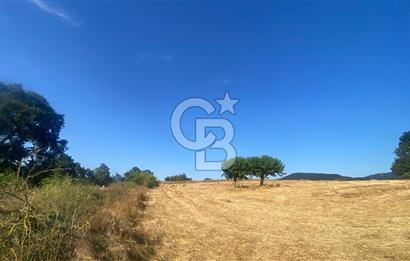 BİGA OVACIK KÖYÜNDE 5370 m2 si İMARLI 12 DÖNÜM AÇIKLAMA OKU