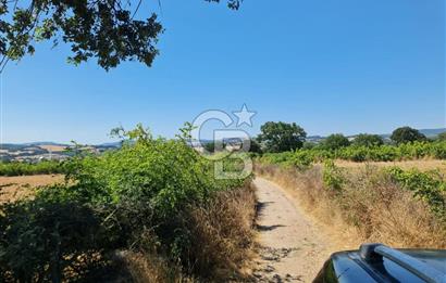 ÇANAKKALE ÇAN AHLATLIBURUN DA MÜKEMMEL KONUMDA SATILIK TARLA