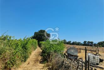 ÇANAKKALE ÇAN AHLATLIBURUN DA MÜKEMMEL KONUMDA SATILIK TARLA - 1 - 360359